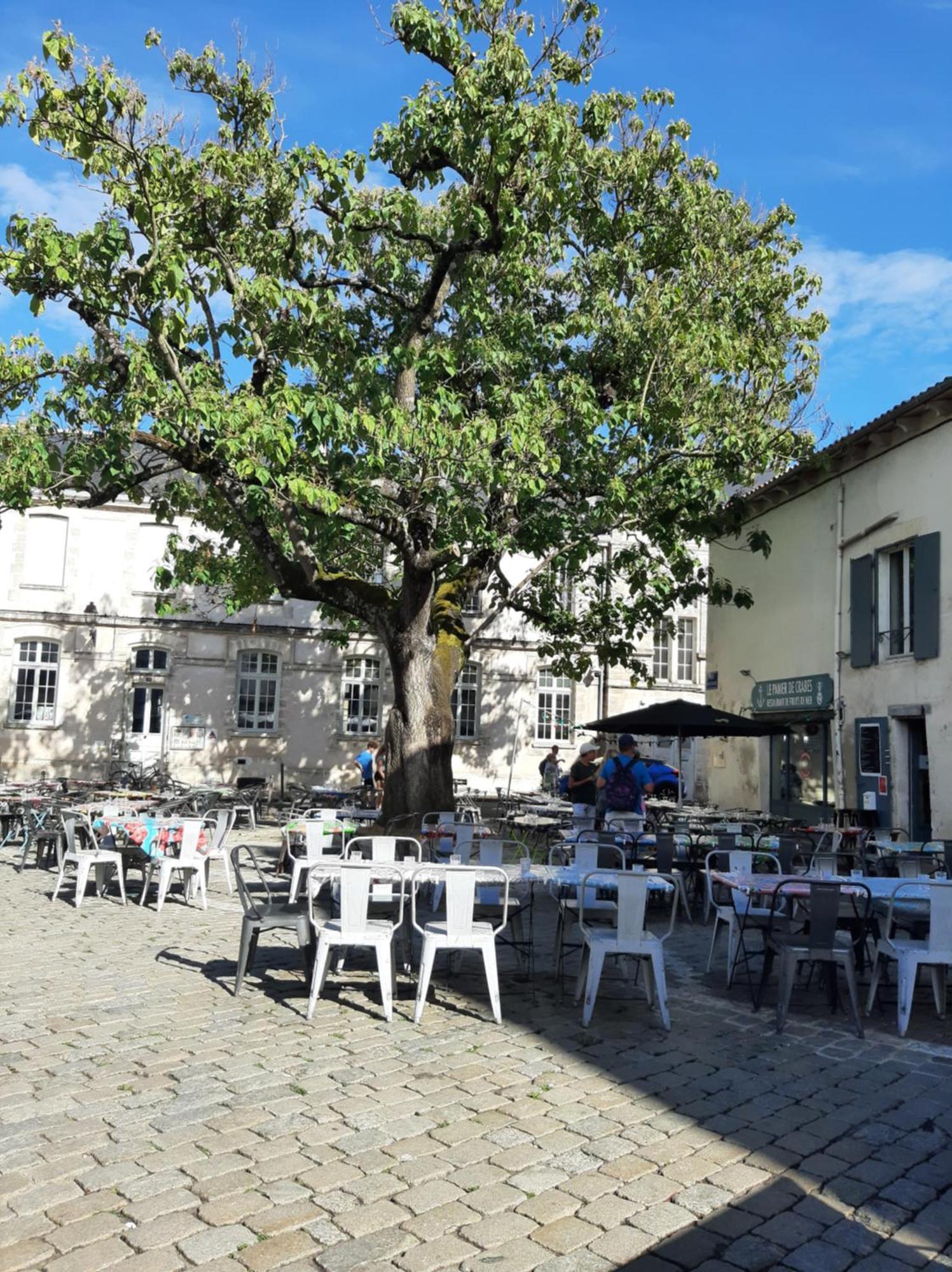 Appartement Comtesse à La Rochelle  Extérieur photo